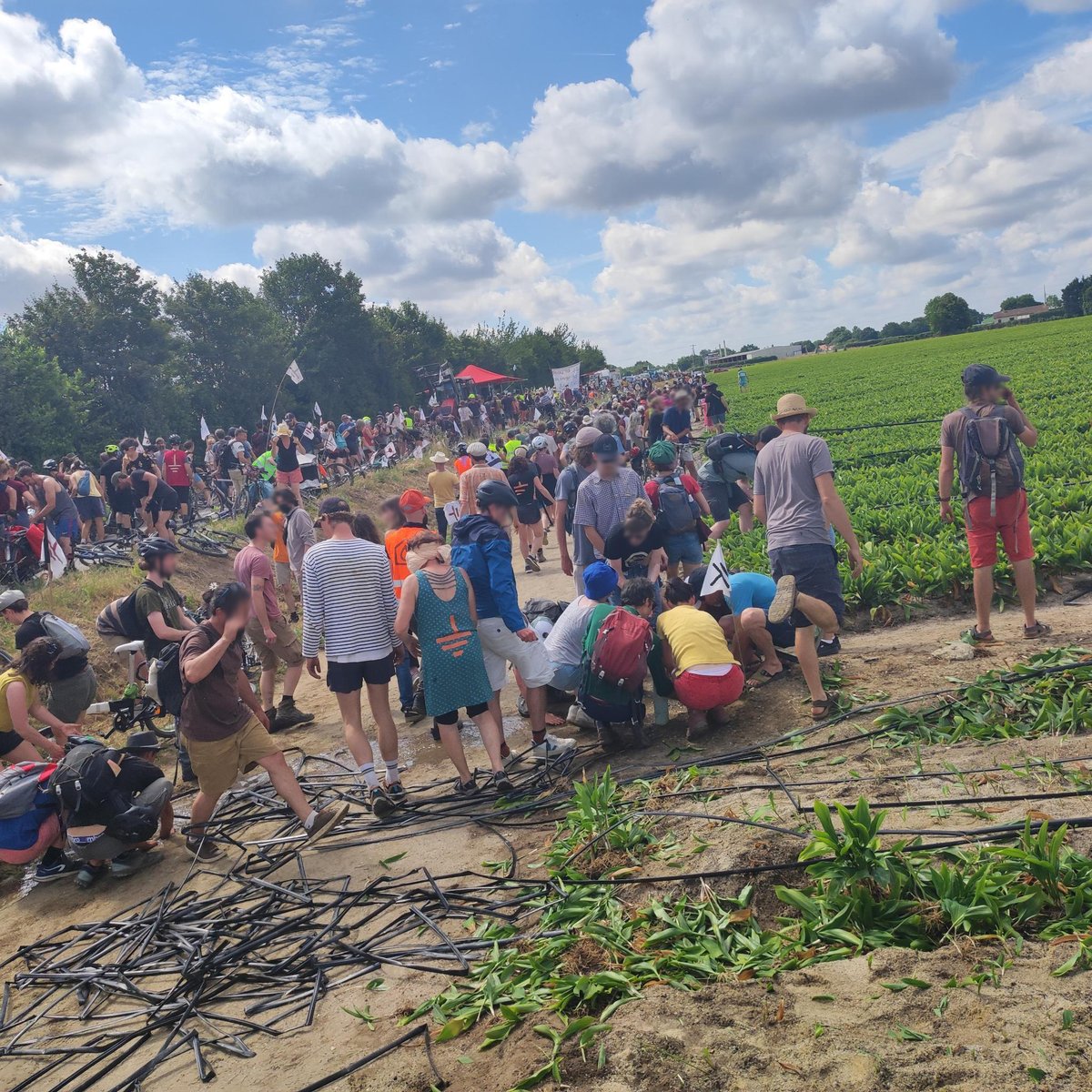 Les tuyaux d'irriguation sont arrachés : en pleine période de sécheresse, cet exploitant disposait de dérogations pour irriguer ces cultures non-alimentaires !