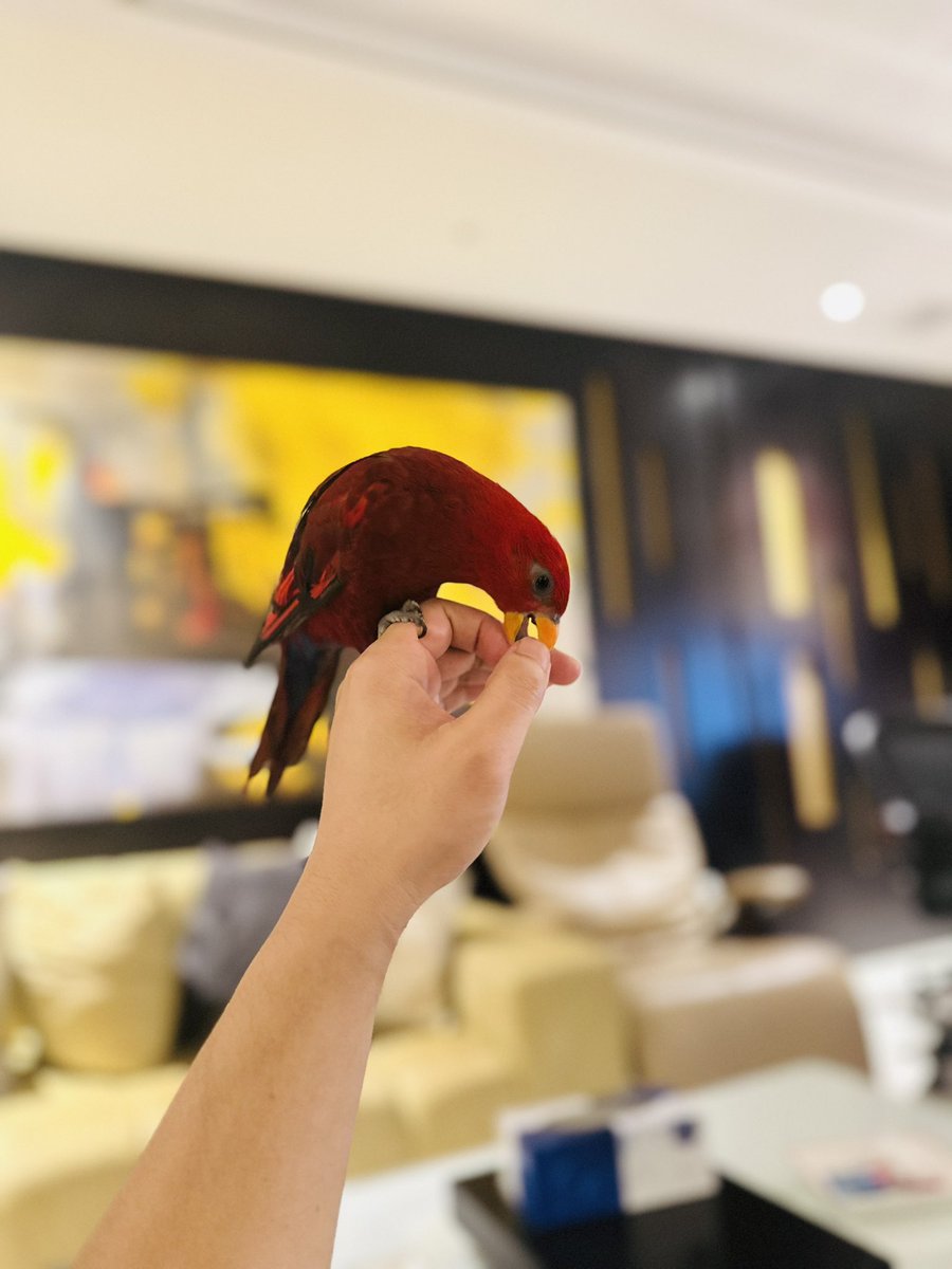 agabinmark's tweet photo. Arron 🐤 https://t.co/jettDPrFh1