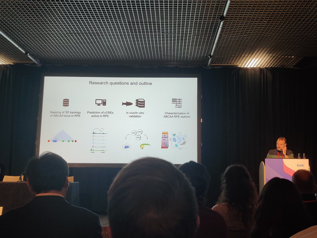 @VictorLopezSor  on cis regulatory elements enhancing non-canonical retinal pigment epithelium ABCA4 isoforms. Really nice data and presentation 👏 #ESHG2023