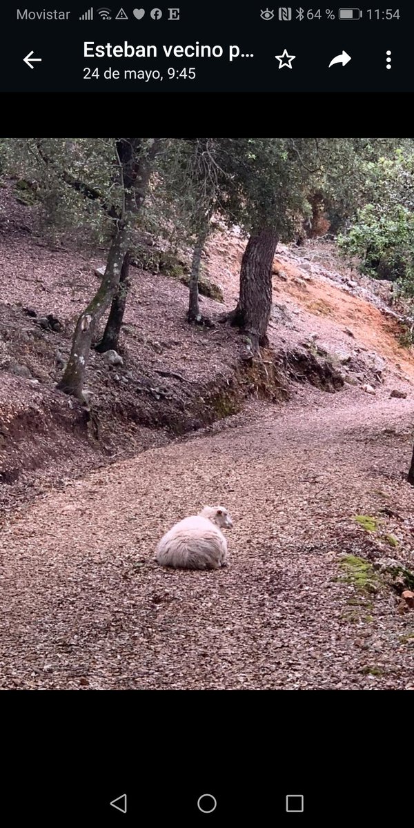 <a href="/BielayTierra/">Biela y Tierra</a> <a href="/BosqueHabitado/">El Bosque Habitado</a> <a href="/radio3_rne/">Radio 3</a> <a href="/Lamarnu/">Laura Martínez Núñez</a> <a href="/GanaderasenRed/">GanaderasenRed</a> Afortunadamente redes de gentes #ComprometidasRadio3 con una gestión activa, sostenible y adaptativa de entorno agroforestal empoderan mundo rural.
<a href="/entre_tantos/">Fundación Entretantos</a>
<a href="/GanaderasenRed/">GanaderasenRed</a>
Generan mosaico vital frente a incendios forestales en el territorio
15/06: #DeclaraciónIF
<a href="/PauCostaF/">Pau Costa Foundation</a>