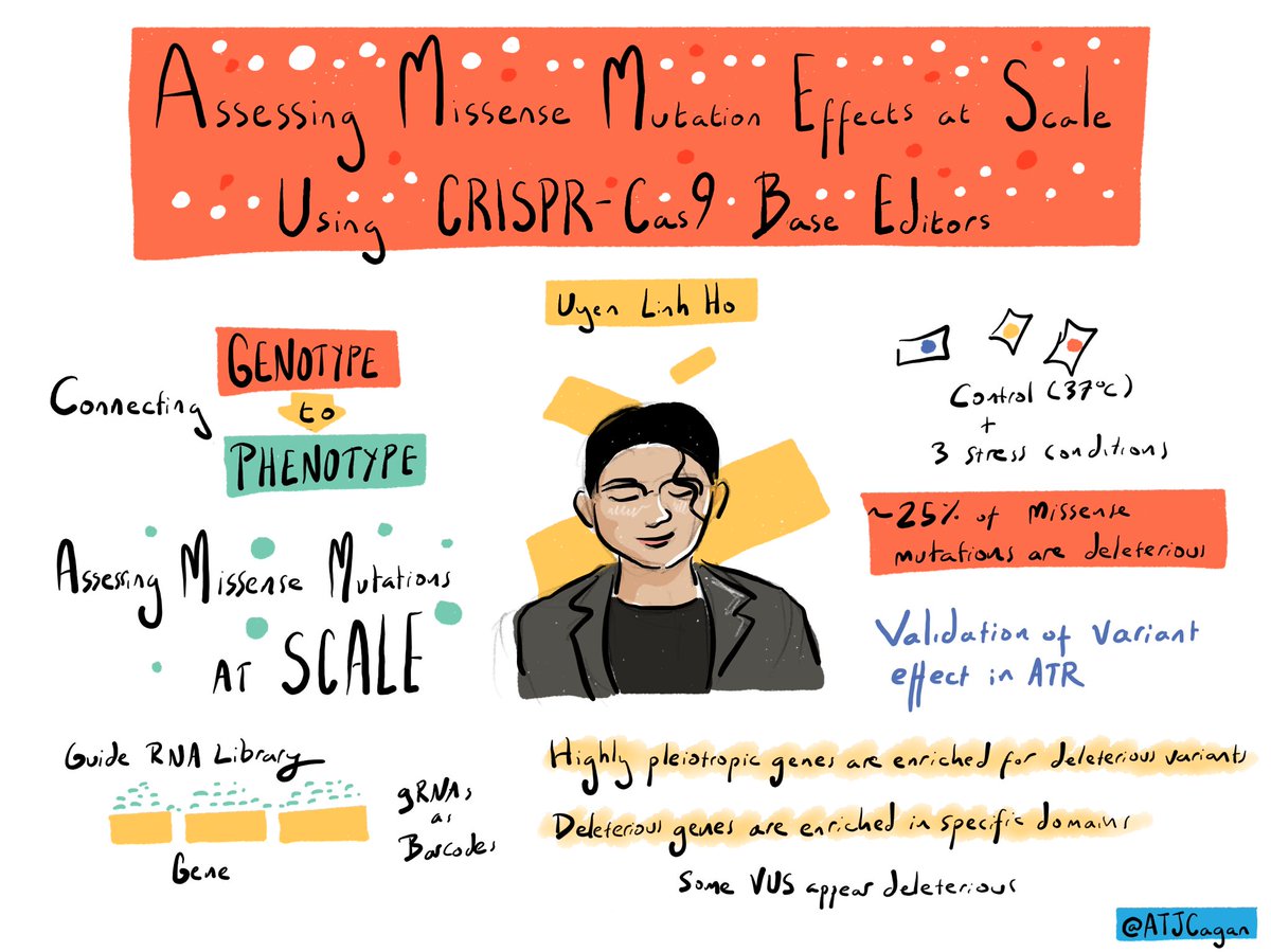 Alex Cagan tweet media