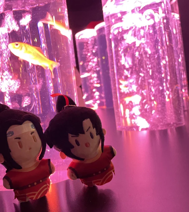 ぬいヒストリー、、、