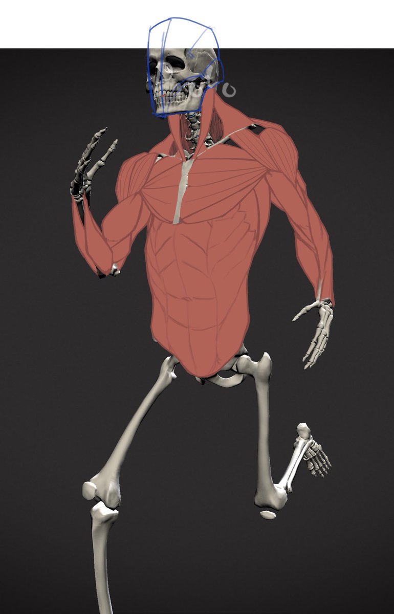 Kimal_art593's tweet image. #JuneStudyJam