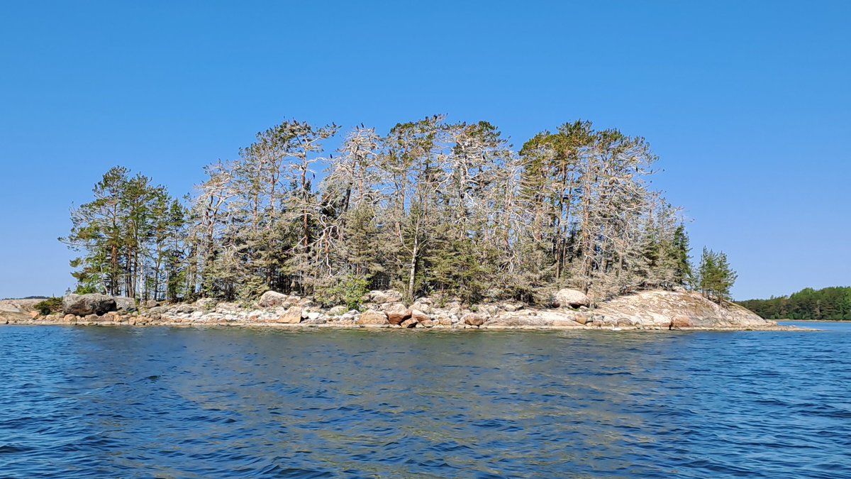 Ei roskia, mutta merimetsojen elämisen jälkiä kyllä <a href="/Kirkkonummi/">(Vitsi) Kirkkonummi</a>  mikä neuvoksi?