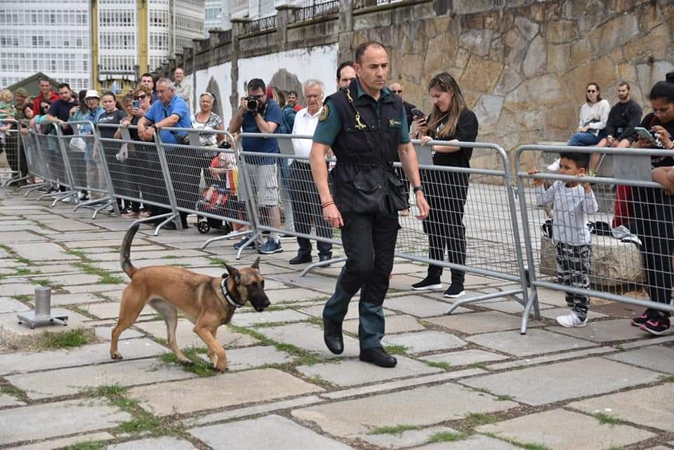 FUTER_ET's tweet photo. Hoy finaliza la exposición de material que, con motivo del Día de las Fuerzas Armadas 2023 #DIFAS23, ha tenido lugar en la Dársena del Parrote en #Coruña.
Muchas gracias a las personas que se han acercado para conocer, de primera mano, nuestra labor. https://t.co/F3Sd5ECZym