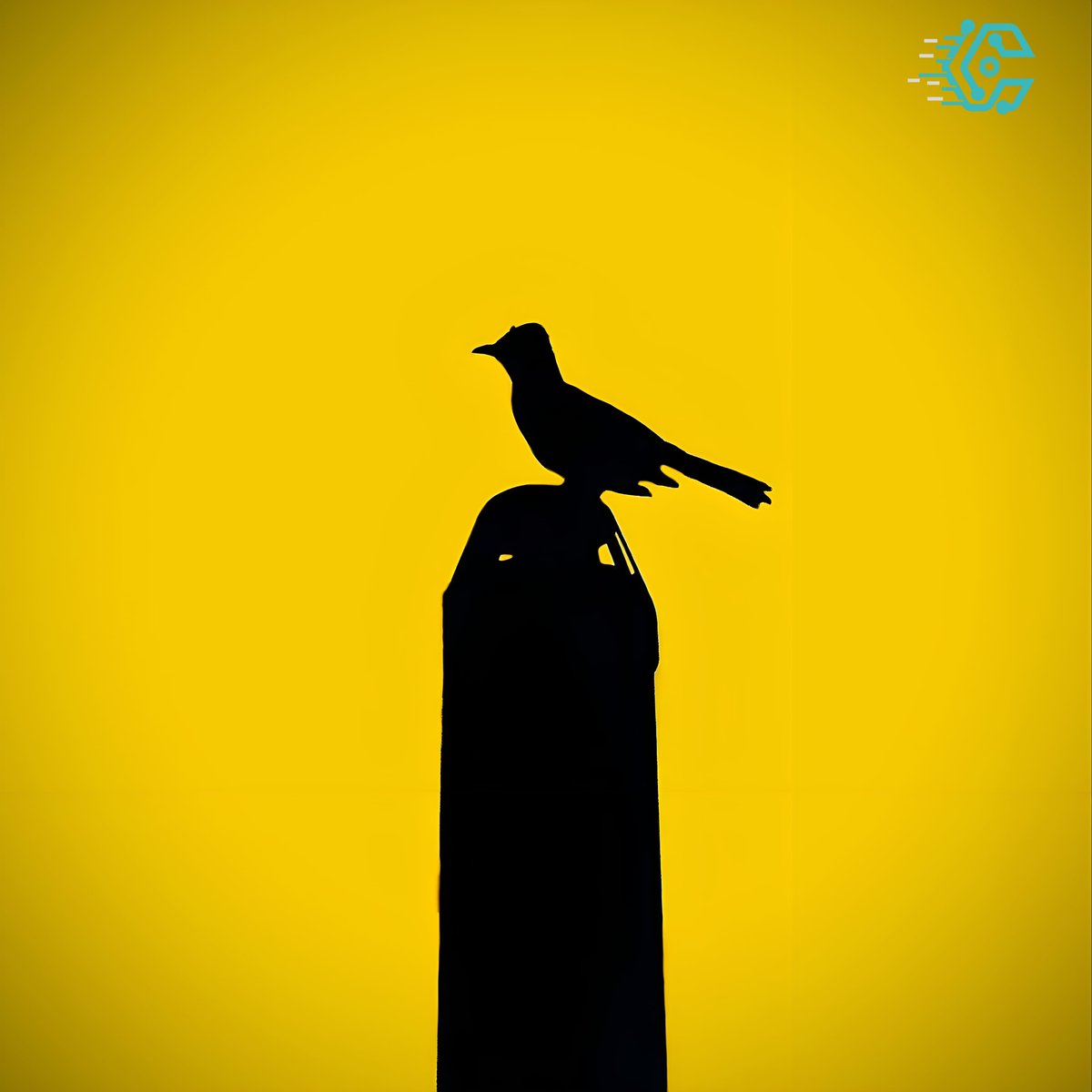 In order to see birds it is necessary to become a part of the silence.

#photography 
#birds 
#camera 
#photographer 
#photooftheday 
#birdwatching
