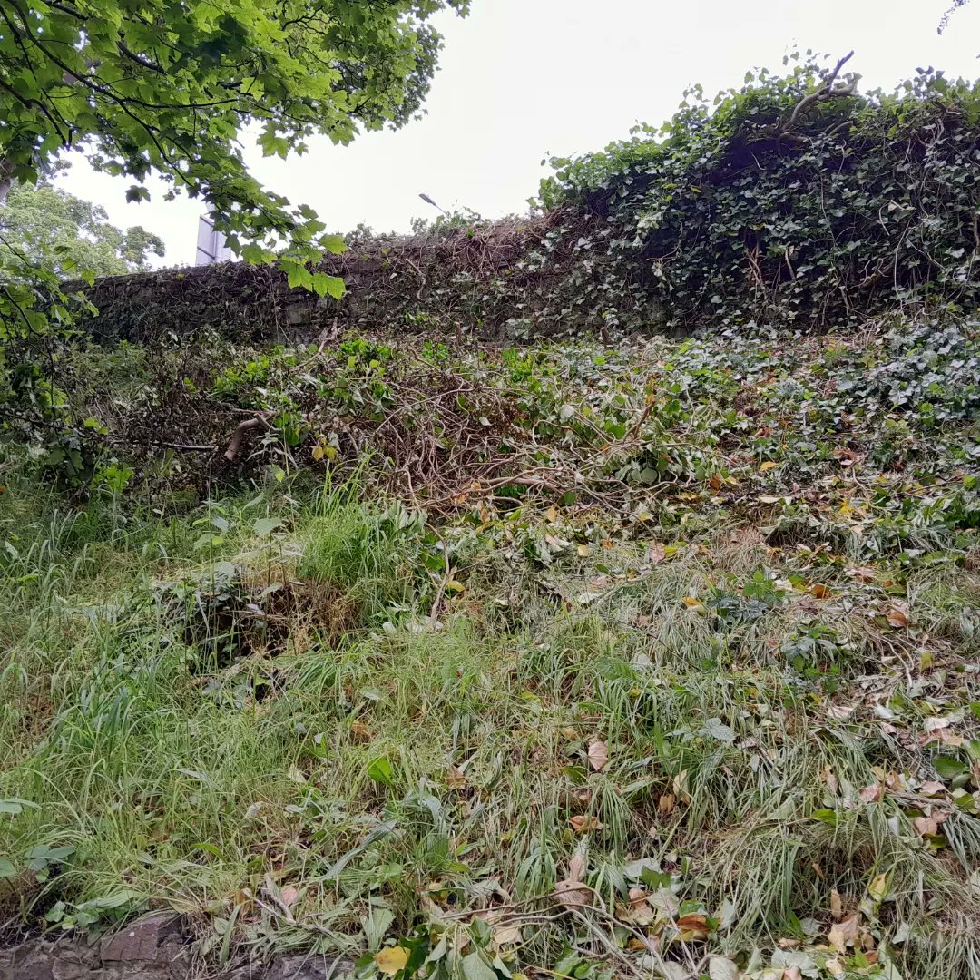 ryanogo's tweet photo. Out this morning tidying up Central Ward and my community, street by street thanks to Quay Watermen's & Riverside Heritage Cafe for refreshments once again.
🎤 They are doing breakfast and looked lovely #quayspirit #quay #community #sunshine https://t.co/VyrMaqPX9x