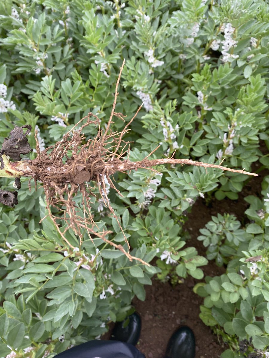 John Dunne tweet media