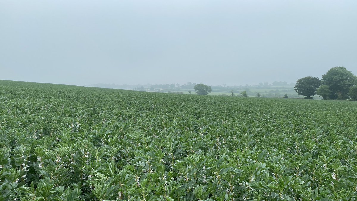 John Dunne tweet media