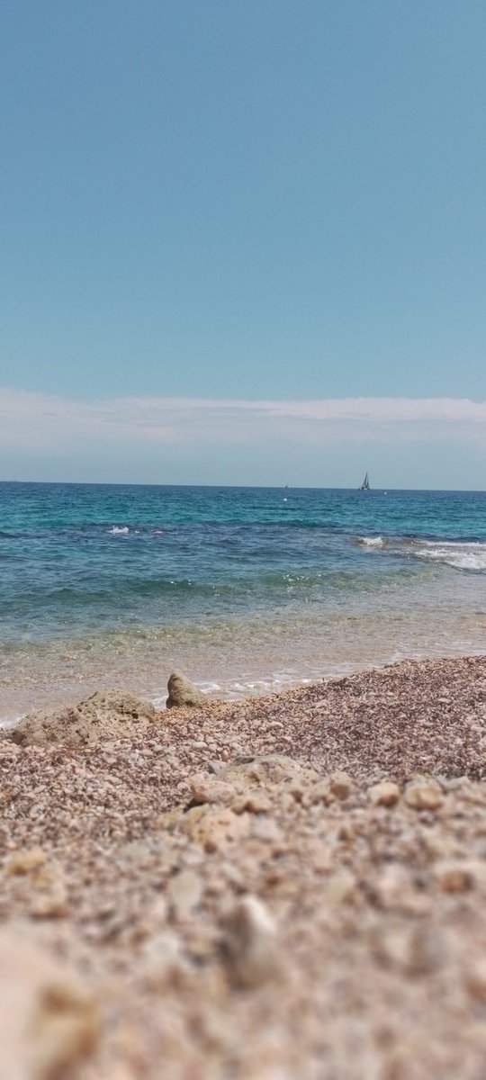 elfuru18's tweet image. Relax....🌴🐚