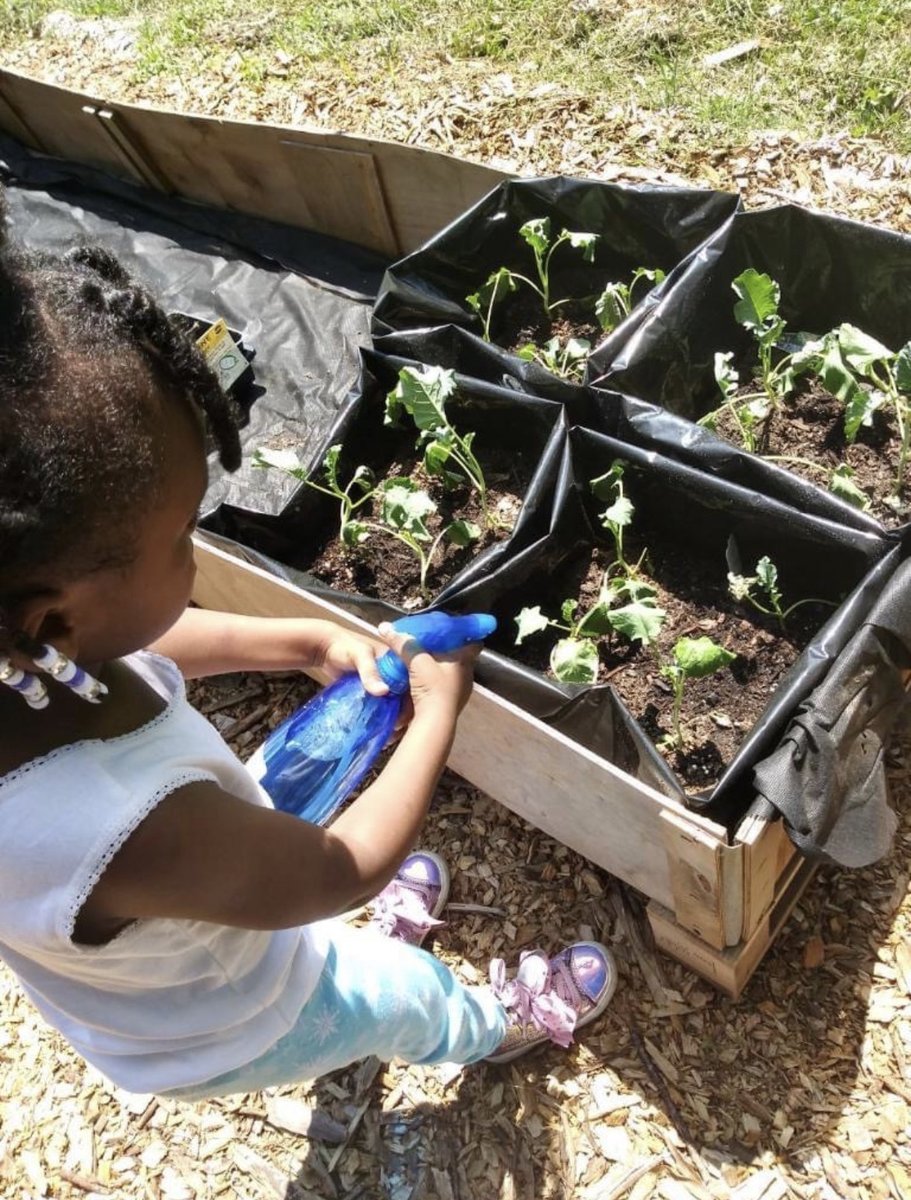 NWIAA's tweet photo. To plant a garden is to believe in tomorrow 🌱

#agridreamers #nwiaa #startthemyoung #encouragingfuturefarmers #womeninag #equity https://t.co/64xWfgtc60