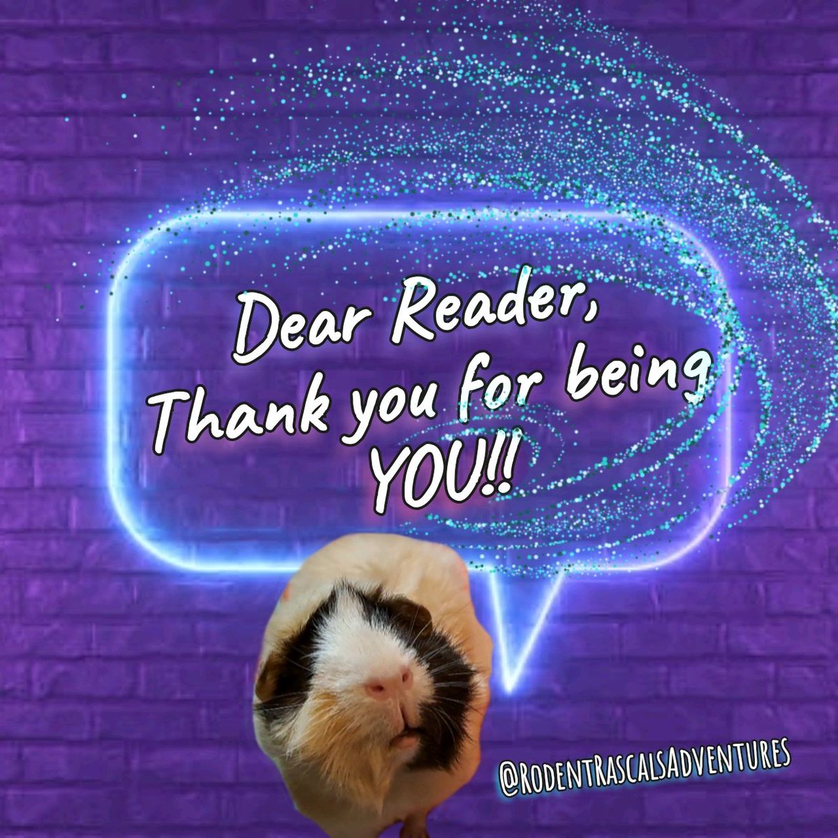 🐽💭 GOOD MORNING!!! In case YOU missed our last memo, we thought we'd tell YOU again...
❤️🐹🐽🐀💻⬇️
#RodentRascalsAdventures 

#guineapig #guineapigs #SundayMorning #foryou #FYP #foryoupage #SundayThoughts #SundayVibes #selflove #AllLivesMatter #YouAreEnough #YouAreImportant