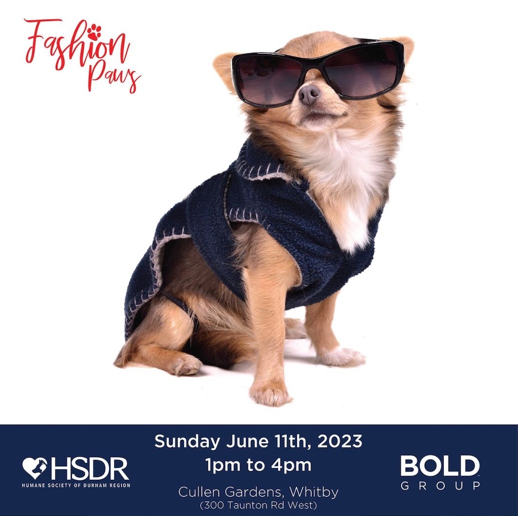 TODAY from 1-4pm at Cullen Gardens in Whitby the Humane Society of Durham Region is hosting Fashion Paws!

Fun for the whole family. Bouncy castles, face painters, ice cream, vendors, and of course - a Doggy Fashion Show!

#c21 #c21eadingedge #animalshelters #buyahomegiveahome