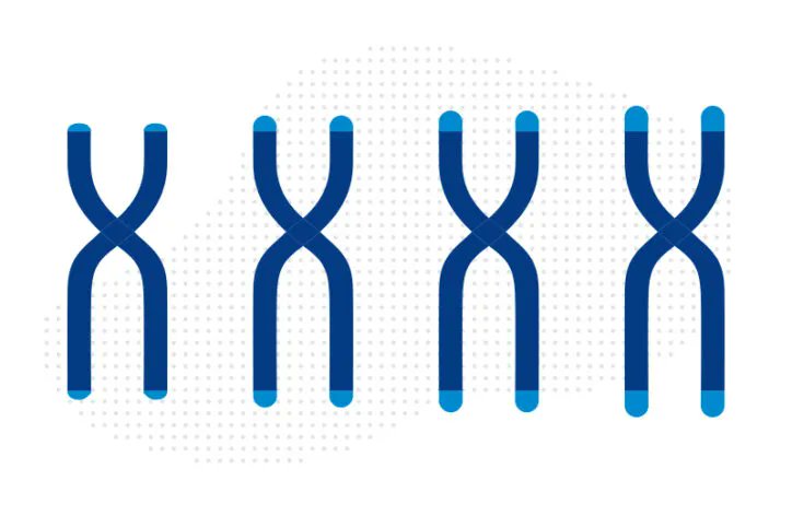 TeamTelomereInc's tweet photo. @BostonChildrens shared an article this week summarizing the incredible recent research in telomere lengthening and thymidine @Naturegenet by @Agarwal_Lab and @wmannherz! Check it out here: https://t.co/ZdWPe43ZAj 
#DyskeratosisCongenita #TelomereBiologyDisorder https://t.co/LlcDSBIbAQ