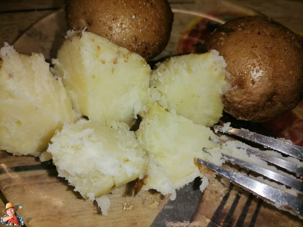 potatosystem1's tweet image. The Art of Cooking with Floury Potatoes: A Guide to Deliciously Soft and Crumbly Delights
#FlouryPotatoes #CookingMethods #PotatoRecipes #FlouryPotatoCharacteristics Discover the versatility and unique characteristics of floury potatoes, rangi...
potatoes.news/the-art-of-coo…