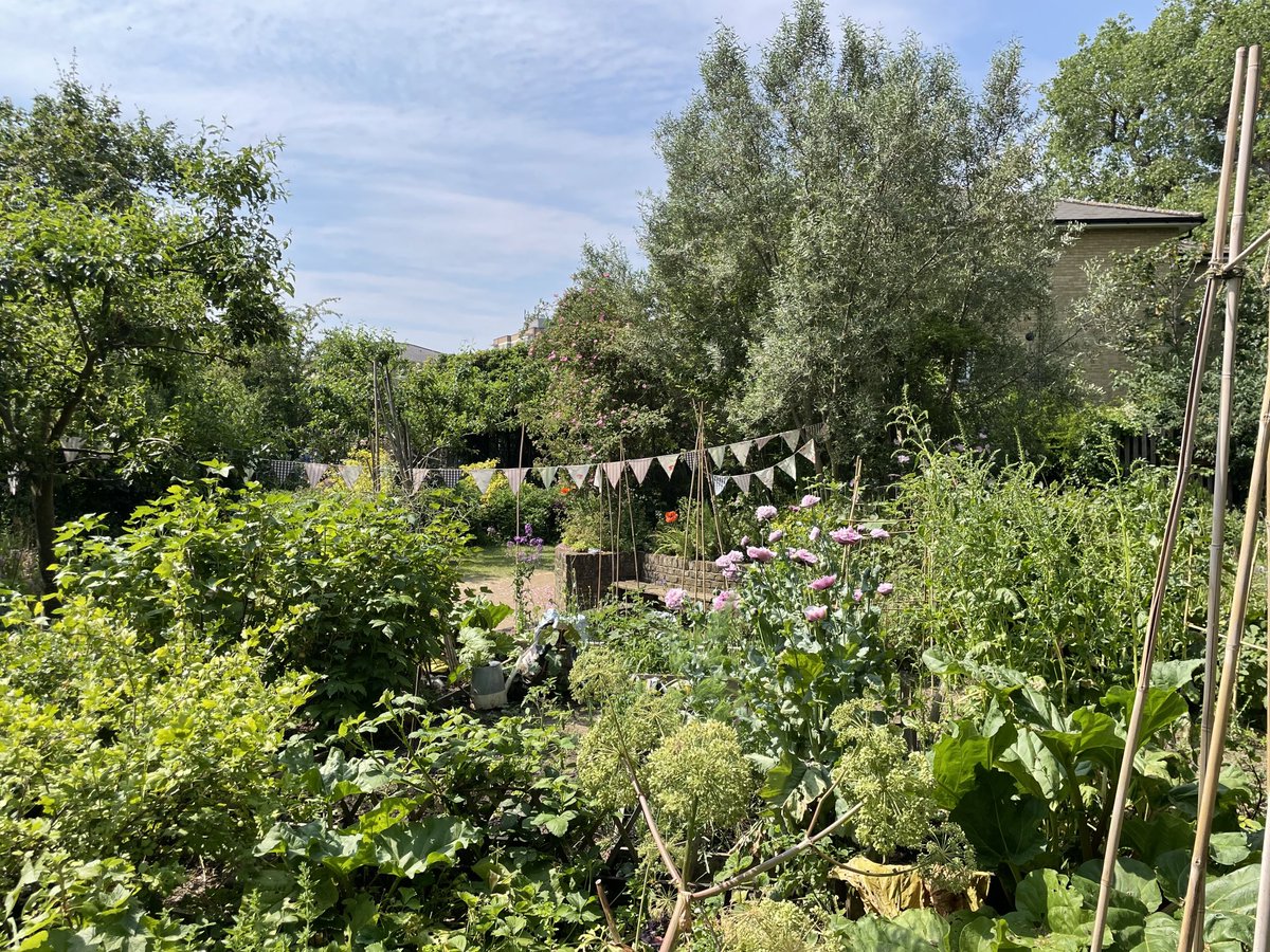 George Littlejohn tweet media