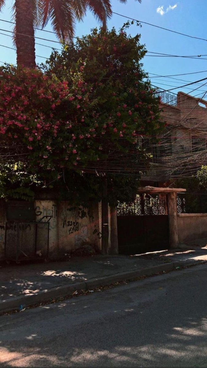 هل تتفقون معي ان الاحياءالسكنيه في بغداد وباقي المحافظات بدأت تفقد  خصوصيتها بصورة مرعبة وتحولت من بيوت جميله وحدائق إلى مجمعات طبيه و مطاعم و مَحال ومولات وحتى كافيهات دون رادع من امانه بغداد ،  اما خراب المزارع فحدث ولاحرج ،، شئ مؤلم فعلا  💔