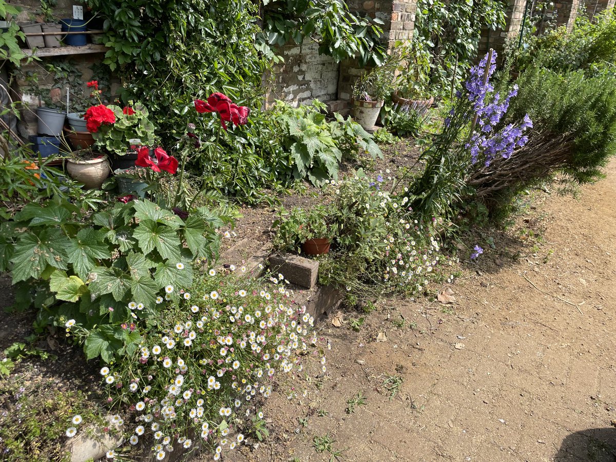 George Littlejohn tweet media