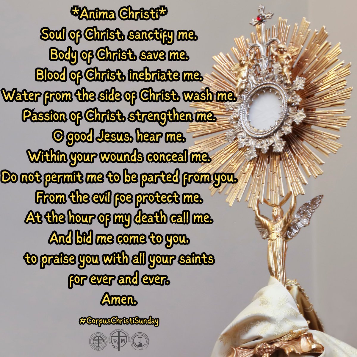 #CorpusChristiSunday

***
May the holy Triune God and Our Dear Blessed Mother bless you always and in all ways! 

#YAC #YMAC #SYM #SVDyouth 
#SHRINEyouthMinistry #ShrineYouth