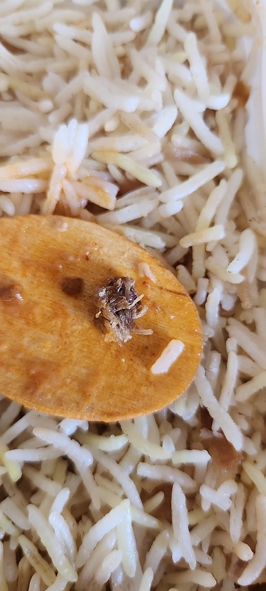Ankitmore94's tweet photo. Placed on order on @lunchbox_india and received a weird looking thing in my rice. I am not even sure as what it is. All @zomato @zomatocare did was  offer a refund. It's amazing how food delivery agrregators just get away with this kinda shit without any sense of responsibility. https://t.co/fByOADQjF9