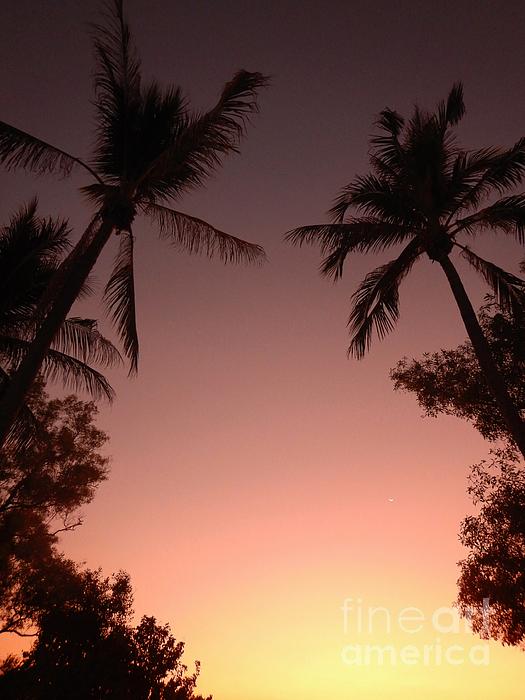 dranneharrison's tweet photo. New artwork for sale! - "The colours of sunset seen through palm trees" - https://t.co/scRzWL7c1r @fineartamerica https://t.co/2HkWwPcsJ1