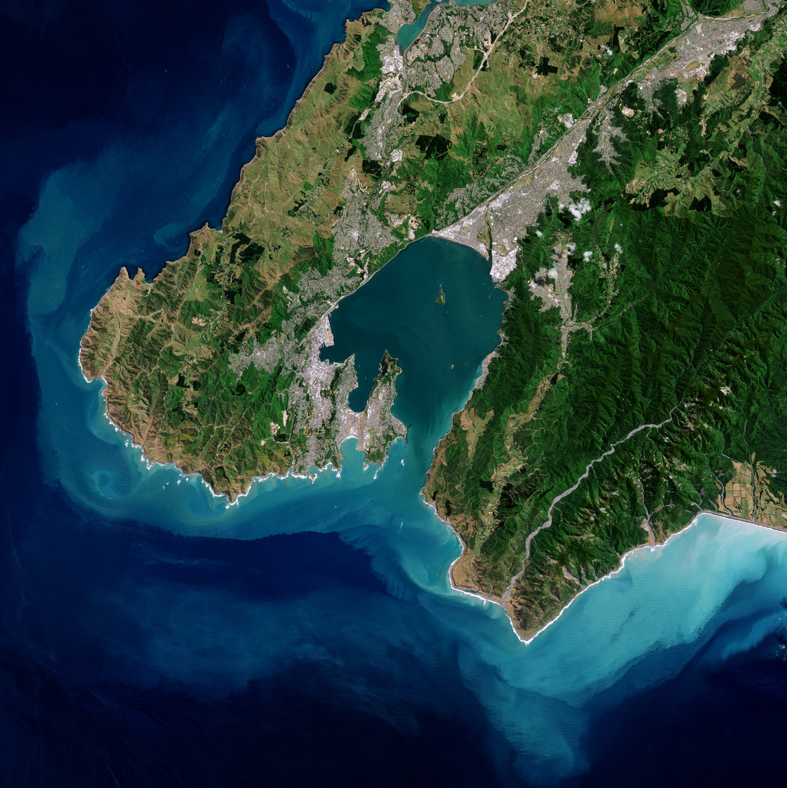 moises-clotet-espai-twitter