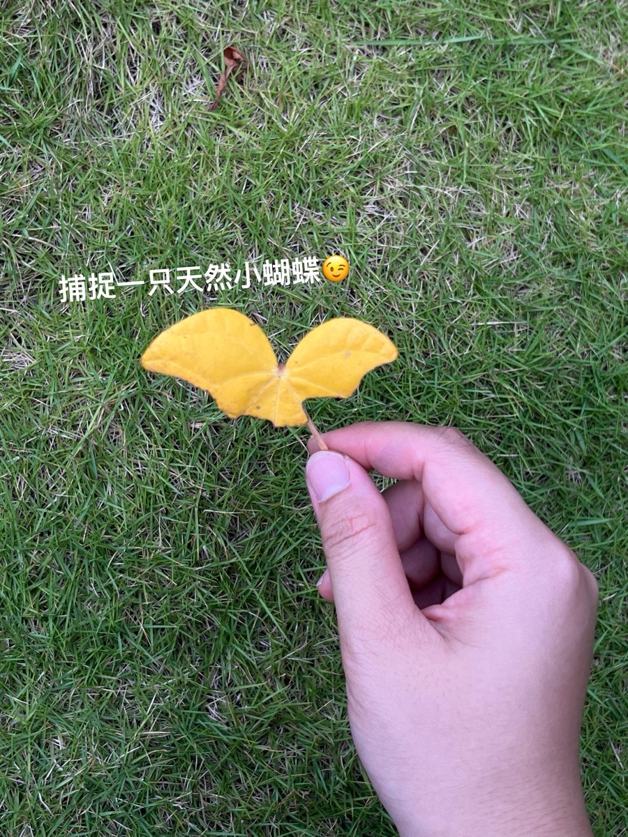 💗#MentalHealthMonth💗
Look! 🍁Doesn't this leaf look a lot like a little butterfly🦋🦋
#nature #EcoChina
No.4️⃣♥️
🖼️I Caught A Butterfly
📷 Yitong Li