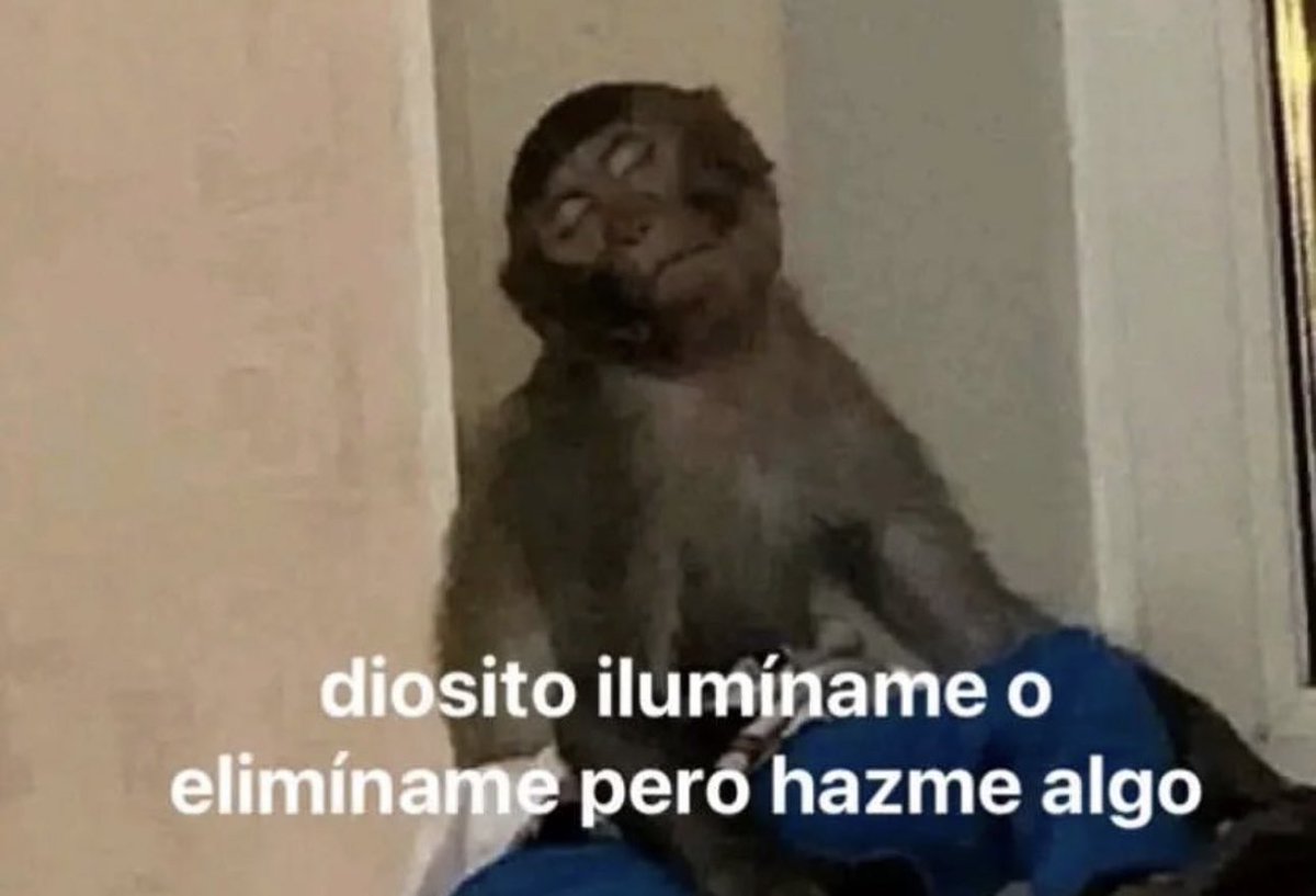 skereunpesado's tweet image. 