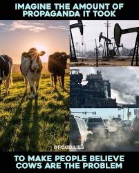 JuanPascual4's tweet photo. Imagina la cantidad de propaganda que ha hecho falta para convencernos de que la culpa es de las vacas https://t.co/29zTNPxQiy