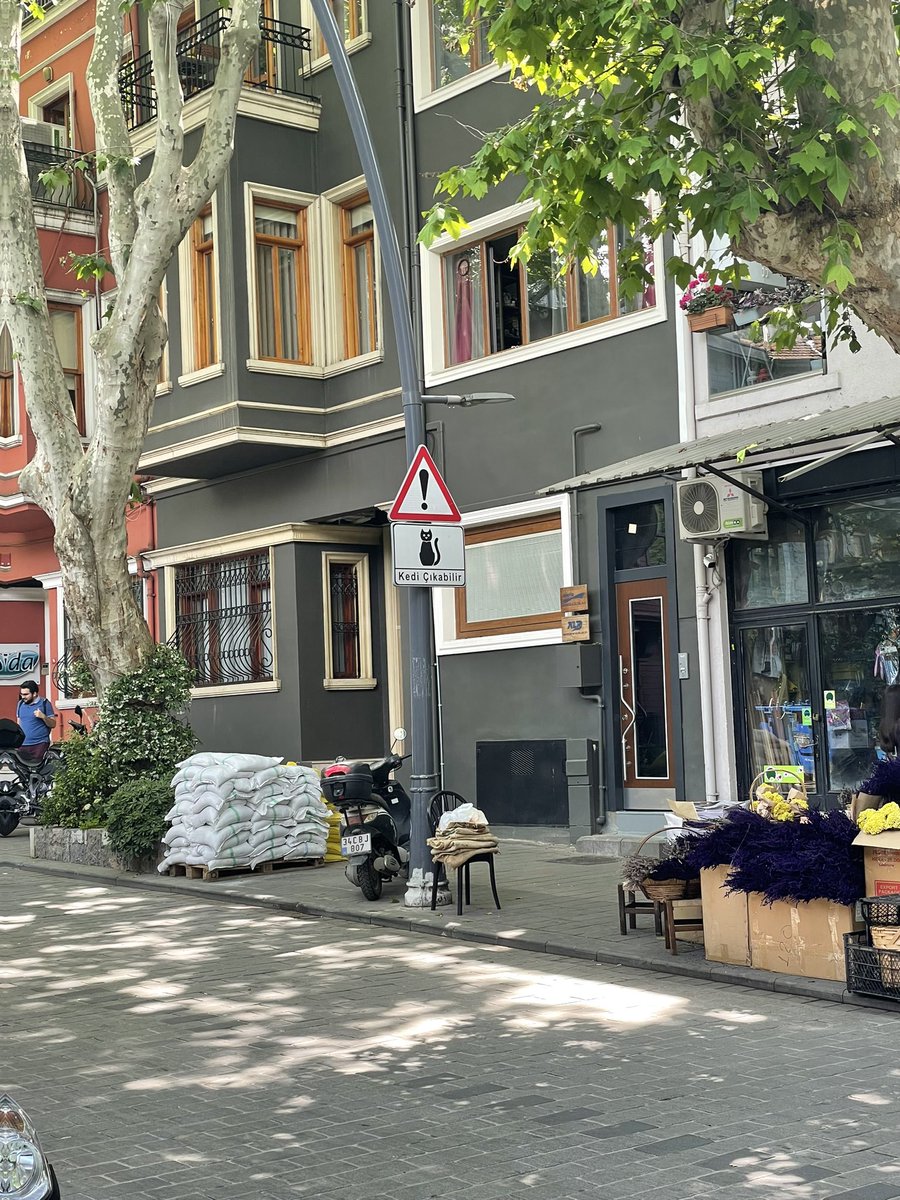 David Hogg 🟧 tweet media