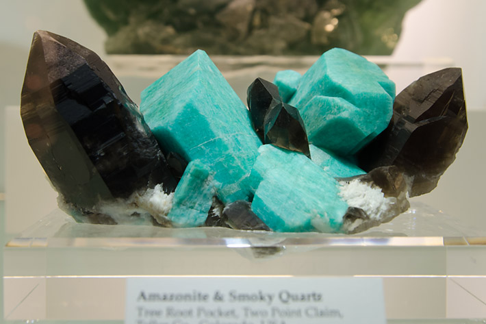 Bright colored #Amazonite and dark smoky #Quartz cluster from Colorado.

#minerals #crystals #mineralcollecting #mineralexpert #rockhounding #mineralogy