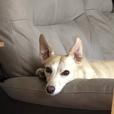 #NewProfilePic