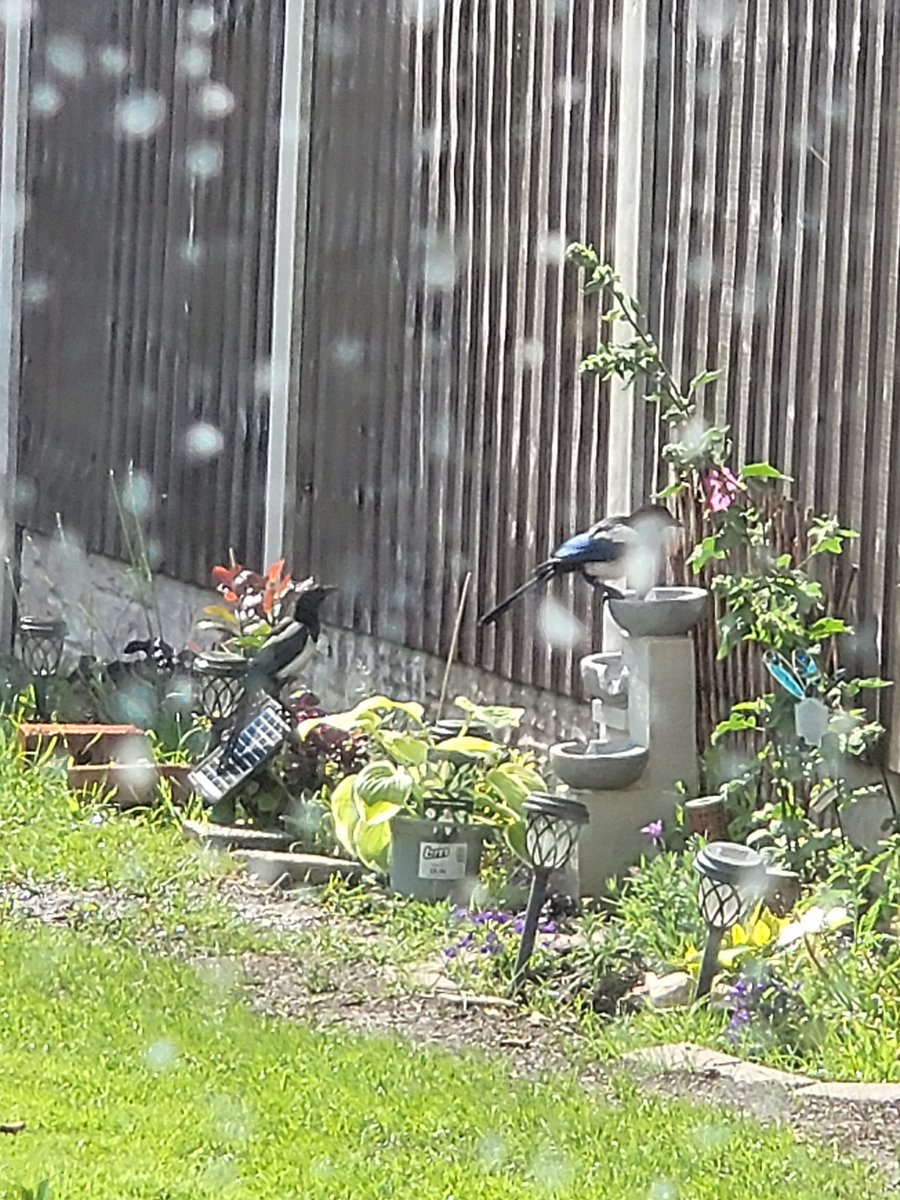 💖😍🪻Selina🪻😍💖 (@selina_twisted) on Twitter photo 