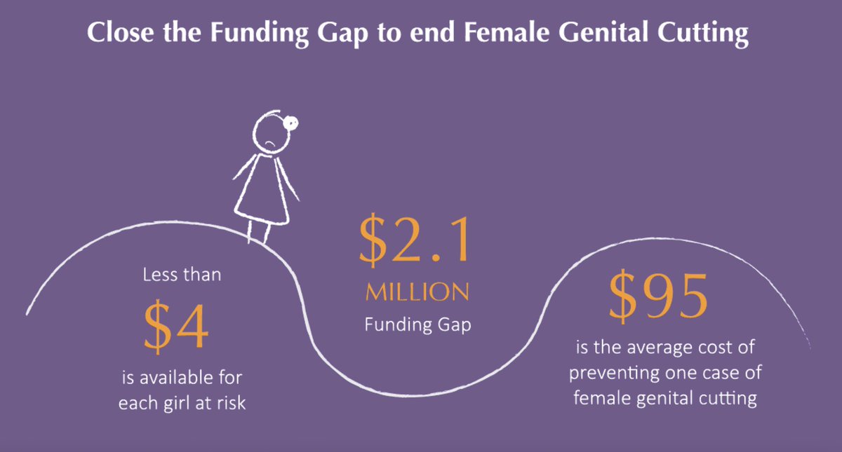 Upholding #GirlsRights shouldn't come with a price tag - but the reality is that the funding gap to #EndFGMC is vast.

@UNFPA reveals $2.4bn needed, while only $275m is available. We must  bridge the gap to ensure girls thrive.

Learn more: bit.ly/45RxgiX #EndFGM
