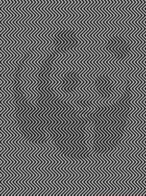 BeeConnected1's tweet photo. Can you see it? https://t.co/wYVLJ1bpVw