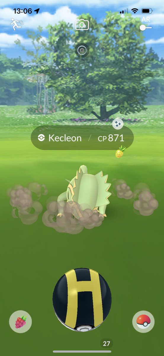 ✨kecleon my first 😅