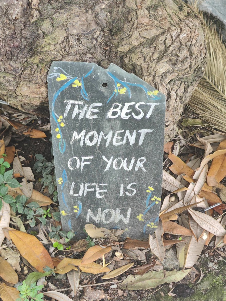 Little reminders, on the path. #travel #himilayas #mindset