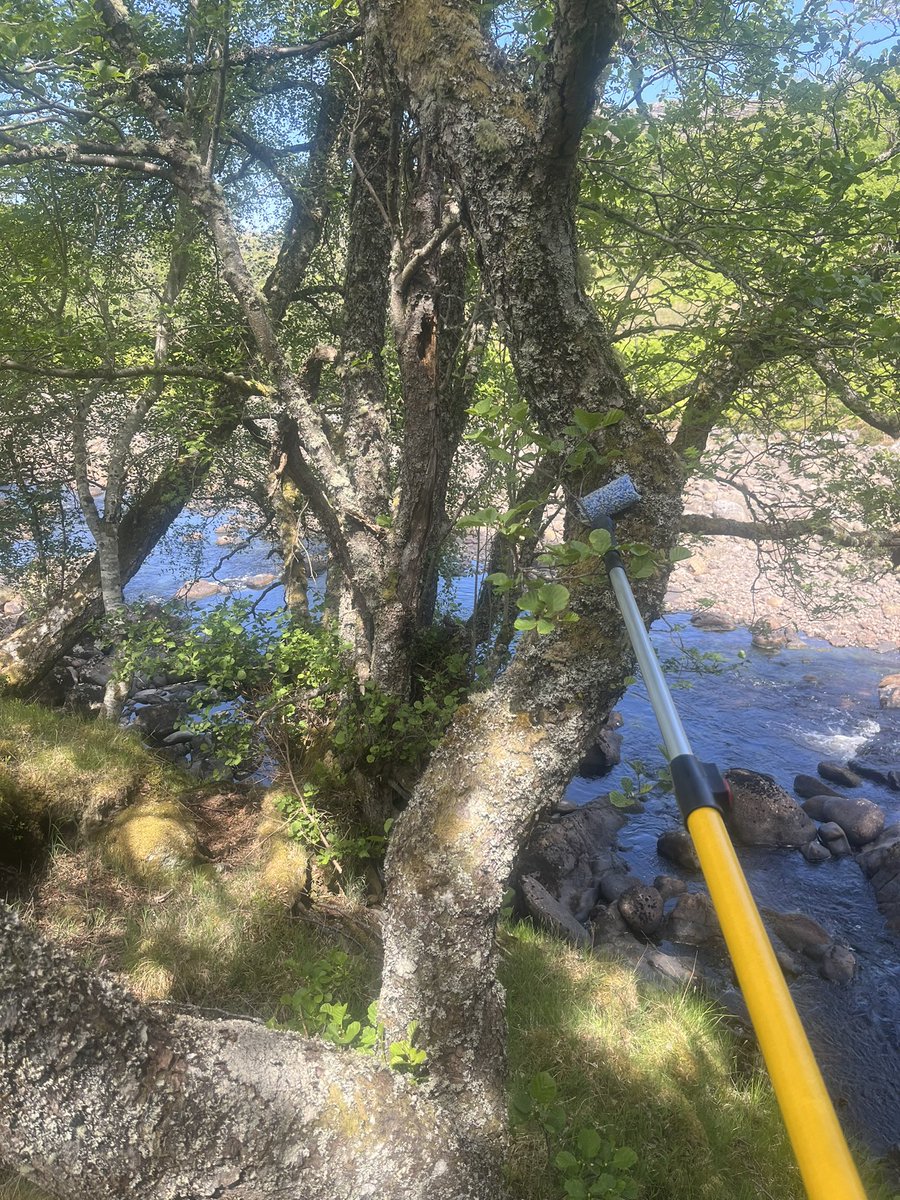 ClareCowgill's tweet photo. Heading home after an epic week collecting over 100 eDNA samples across the NCL Birchfield rewilding site! https://t.co/hnOOqZIn7e