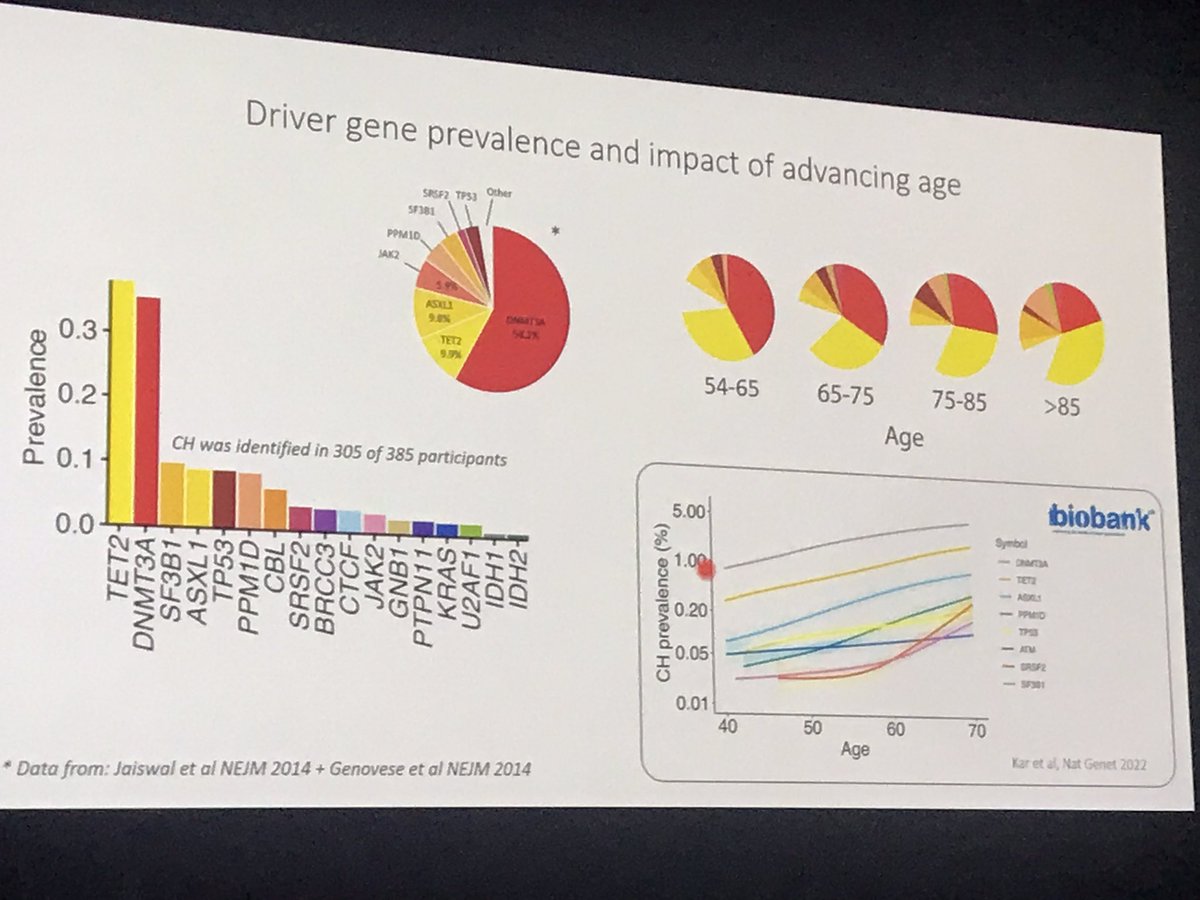 GuezguezL's tweet image. Almost a wrap to another fantastic #EHA2023 meeting with a keynote talk about new findings in Human cohort of #Clonal #Hematopoiesis from George Vassiliou @VassiliouLab @SCICambridge ☝️🧬🔬