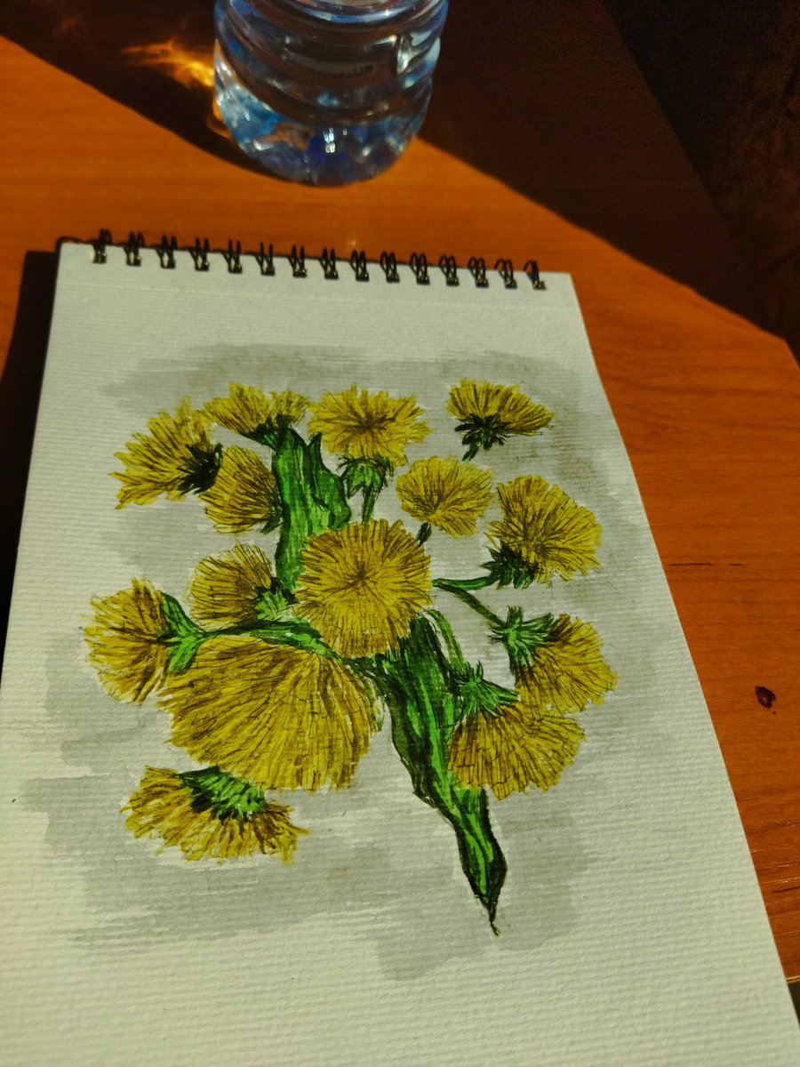 Dandelions. Summer vibes number three. 💛 #Flowers #summer #drawing #watercolor