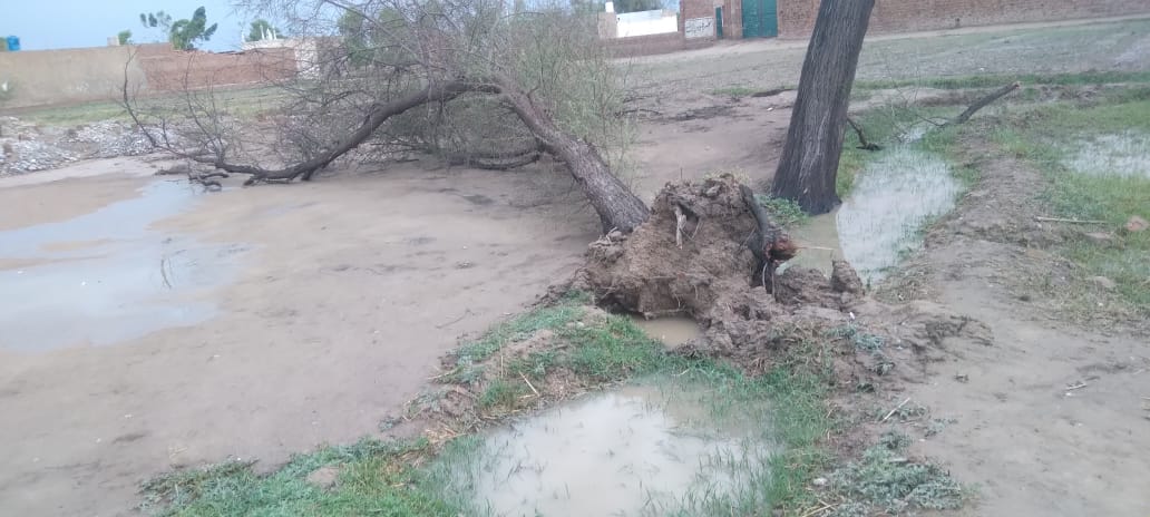 Fridays4KP's tweet photo. Thunderstorm &amp; heavy rainfall wreaked havoc in KP. At least 100 people died and over 300 were injured in rain-related incidents as torrential showers battered Karak, Bannu and Lakki Marwat districts of Khyber Pakhtunkhwa province of Pakistan.
#Pakistan #Bannu https://t.co/w78qoKRmox