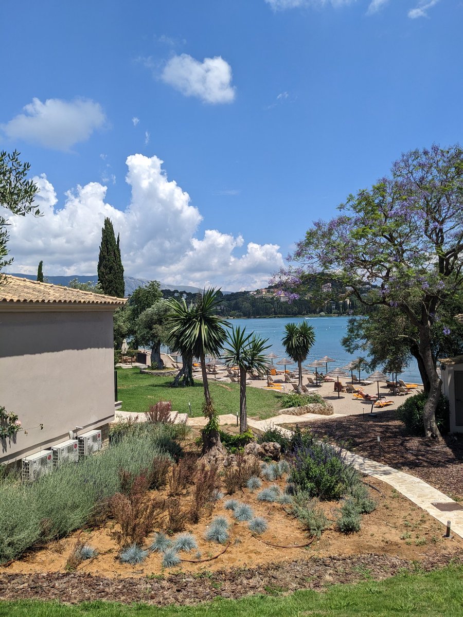 Dom Carrick tweet media