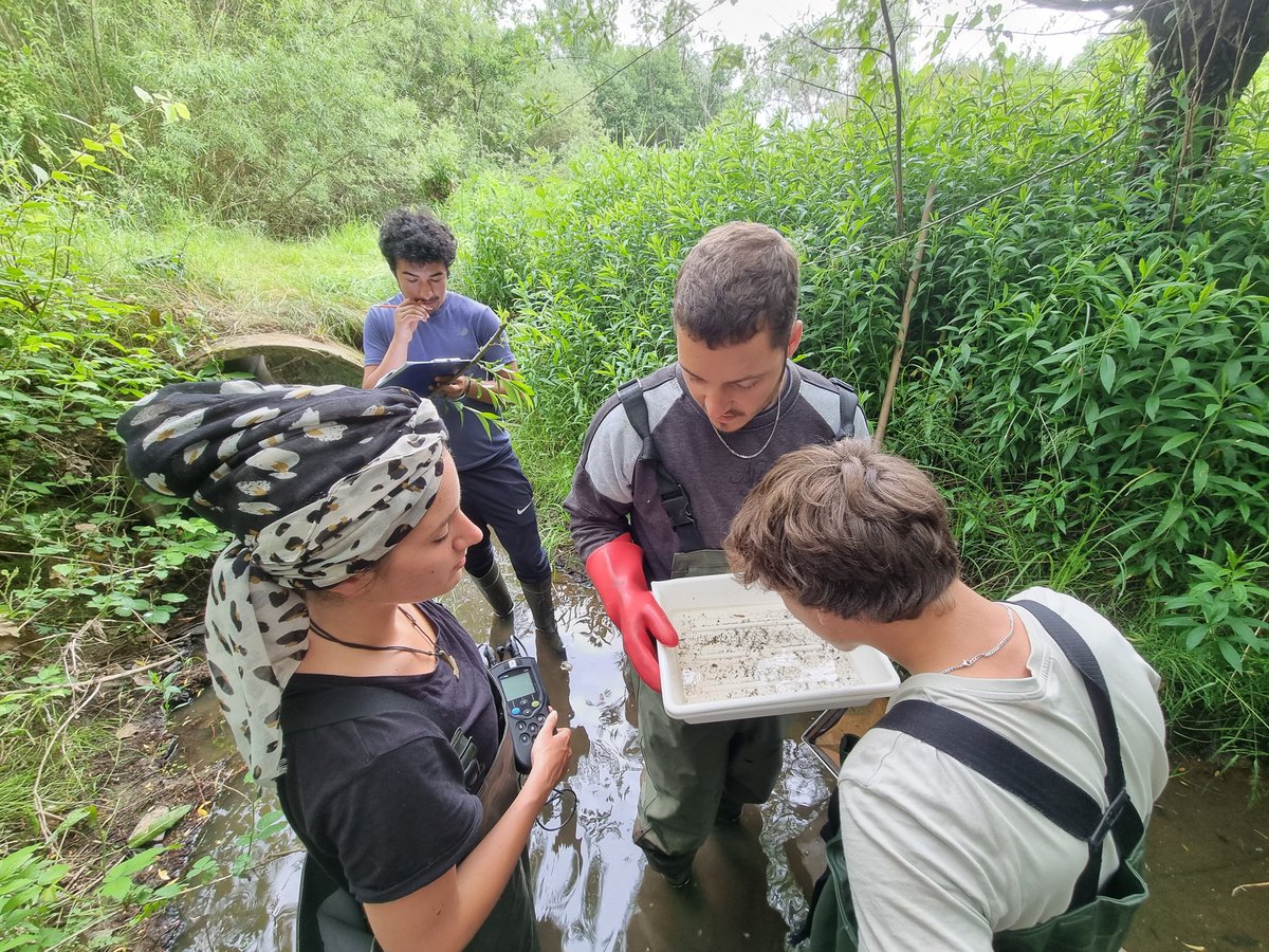 Thomas Klefoth tweet media