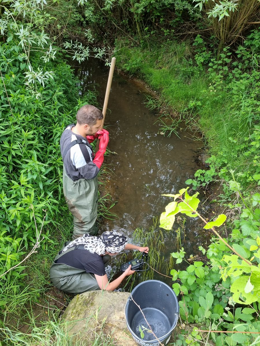 Thomas Klefoth tweet media