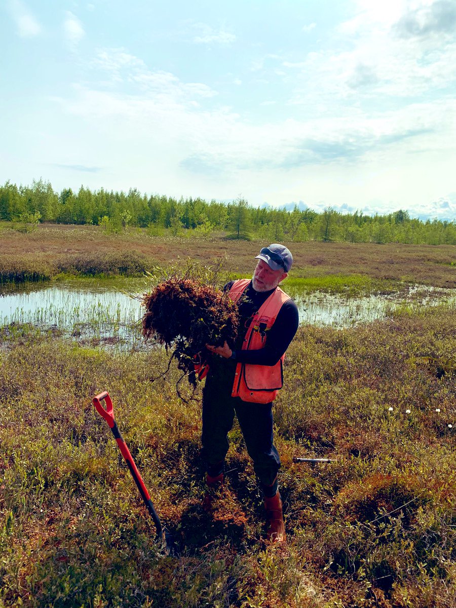 TalalAsif09's tweet photo. Finally, #QuebecRE3 has been started with an amazing #GPI #PERG peatland workshop. https://t.co/dGwj9nzmIU