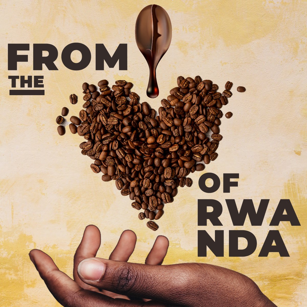 Indulge in the captivating flavors that originate from the heart of Rwanda, where coffee is not just a beverage but a testament to the resilience and spirit of its people. Place your order at matriarchcoffee.com #RwandanCoffee #RwandaCoffee #RwandanSpecialtyCoffee
