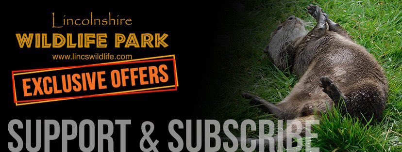 Did you know that our #Facebook subscribers get some great #discounts and #freebies ? 
This week they received free entry to all our 2023 events! 🥳
#Subscribe today to join in and gain some amazing benefits… find us on Facebook! 

@LincsEvent @lincsblogger #lincswildlifepark