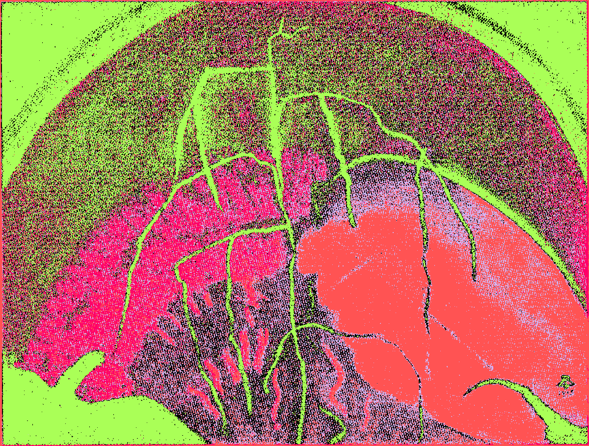 paintergoblin's tweet photo. Q113851337, Theo van Doesburg, private collection https://t.co/fpHBAvnVTp #wikidata #digitalart #pastel (Palette: #MagentaConverse) 🖌🎨 https://t.co/8vcw42tx6X
