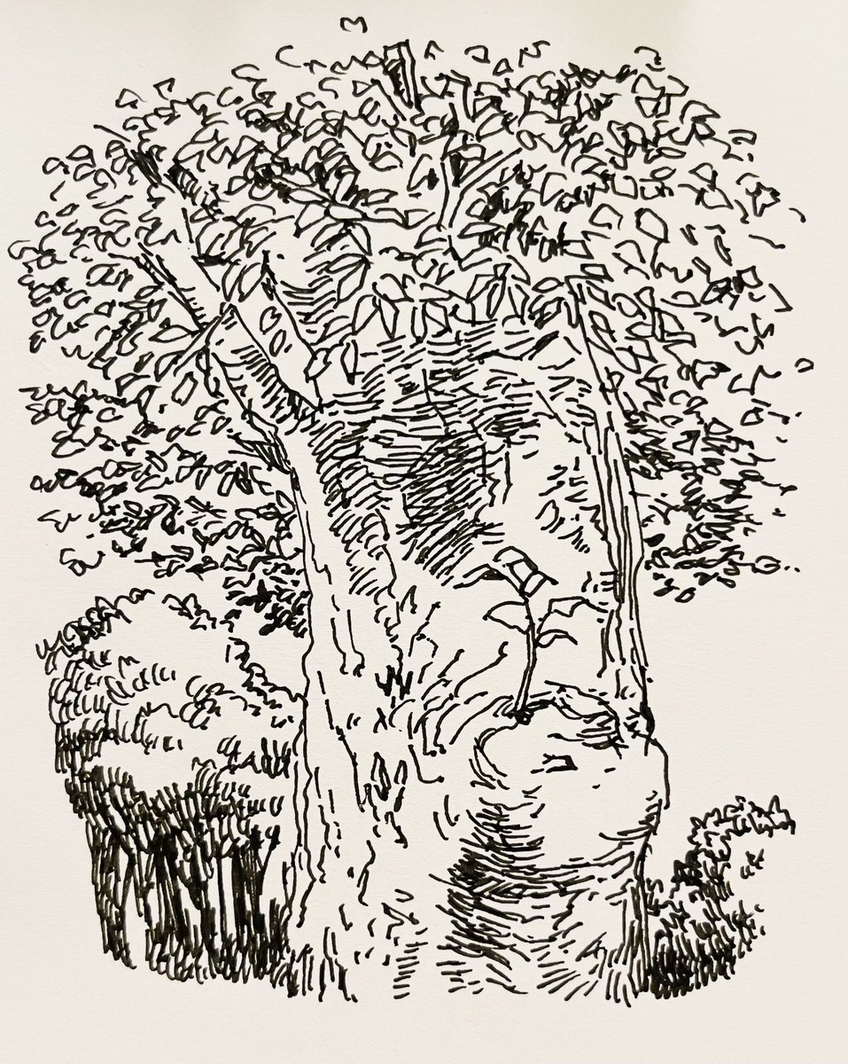 太い幹から細い枝
古い四季から走り絵だ

#1日1絵 https://t.co/fCTPSdoa9m