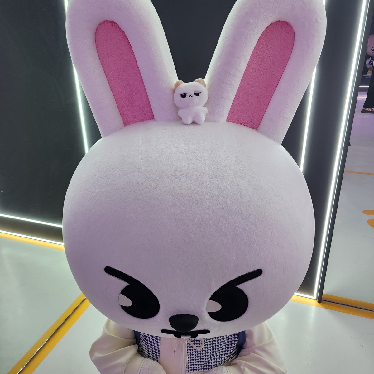 낄낄낄낄 본체(?)들과...

#한콩이동구래요 #리먐미말랑해요